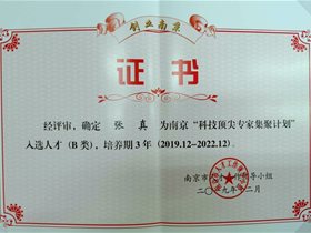 云創(chuàng)大數(shù)據(jù)張真董事長(zhǎng)榮膺南京“科技頂尖專家集聚計(jì)劃人才”